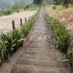 CAMINATAS 2