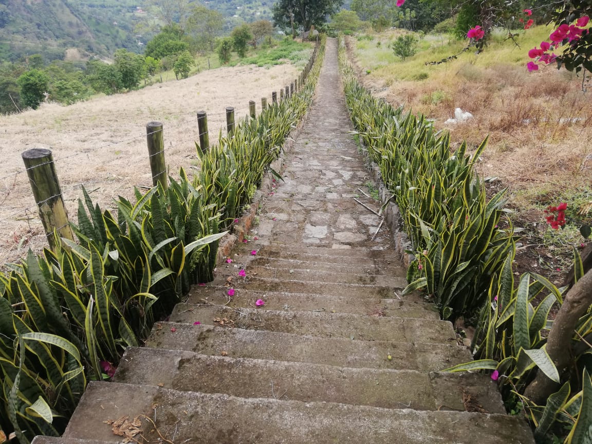 CAMINATAS 2